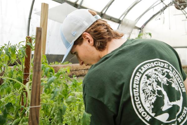 HORTICULTURE, LANDSCAPE & DESIGN students working in greenhouse